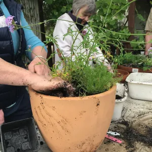 Create Your Own Container Garden taught by Patrick Wiley
