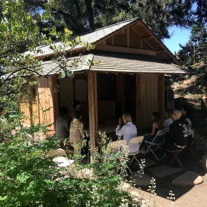 Enjoy Matcha: The Urasenke Way of Tea class taught by Sensei Kyoko Kasai