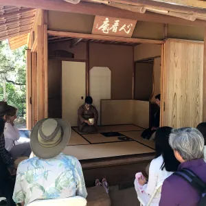 Enjoy Matcha: The Urasenke Way of Tea class taught by Sensei Kyoko Kasai