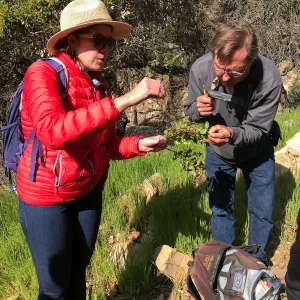 Romero Canyon day trip with Natalie Love, studying Coast Live Oak