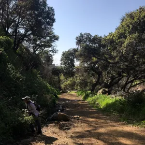 Romero Canyon day trip with Natalie Love