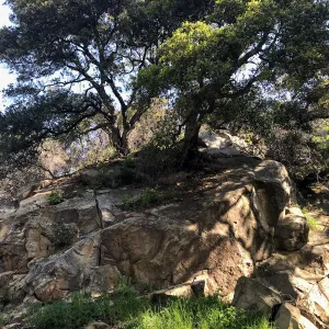 Romero Canyon day trip with Natalie Love