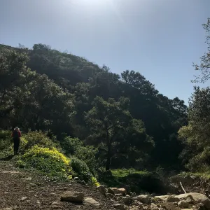 Romero Canyon day trip with Natalie Love