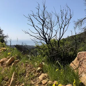 Romero Canyon day trip with Natalie Love