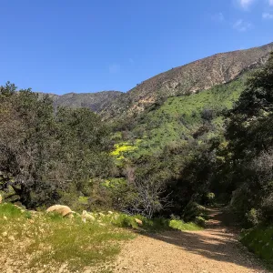 Romero Canyon day trip with Natalie Love