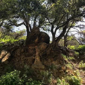 Romero Canyon day trip with Natalie Love