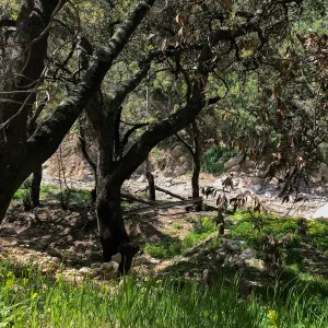 Romero Canyon day trip with Natalie Love, part of a bridge that was taken down in the debris flow