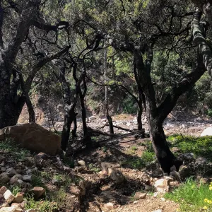 Romero Canyon day trip with Natalie Love, part of a bridge that was taken down in the debris flow