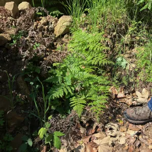 Romero Canyon day trip with Natalie Love