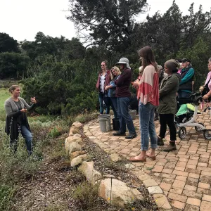 Bring the Wild Inside; Floral Design With California Native Plants