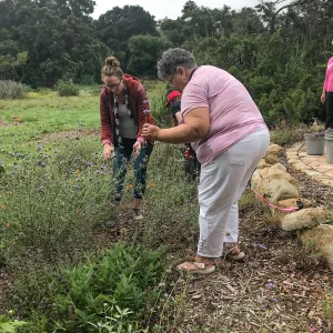 Bring the Wild Inside; Floral Design With California Native Plants