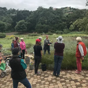 Bring the Wild Inside; Floral Design With California Native Plants