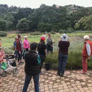 Bring the Wild Inside; Floral Design With California Native Plants
