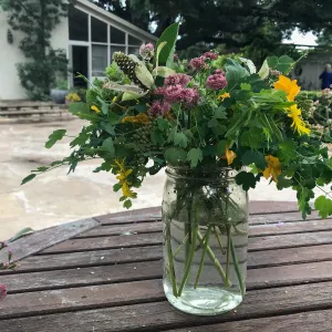 Arrangement from Bring the Wild Inside; Floral Design With California Native Plants
