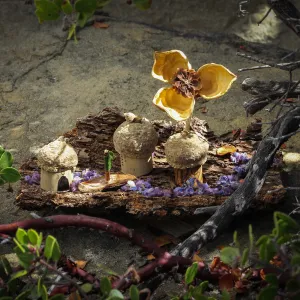 Fairy Homes and Nature Crafts class samples