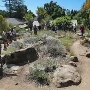 Climate walk in support of the Global Climate Strike