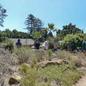 Climate walk in support of the Global Climate Strike