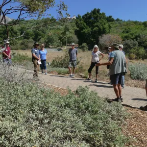 Climate walk in support of the Global Climate Strike