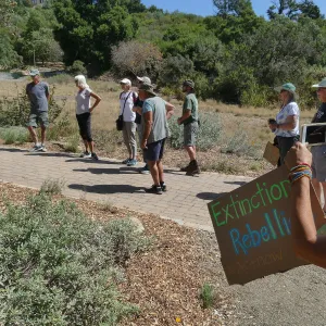 Climate walk in support of the Global Climate Strike