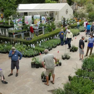 2019 Fall Plant Sale Preview Party