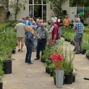 2019 Fall Plant Sale Preview Party