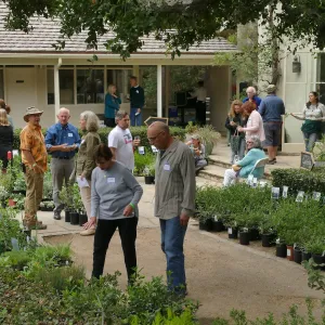 2019 Fall Plant Sale Preview Party