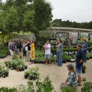 2019 Fall Plant Sale Preview Party