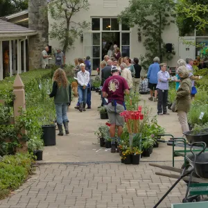 2019 Fall Plant Sale Preview Party