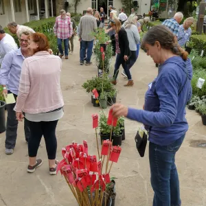 2019 Fall Plant Sale Preview Party