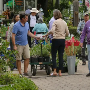 2019 Fall Plant Sale Preview Party