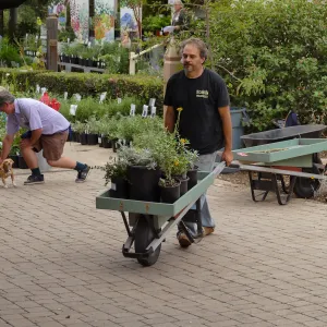 2019 Fall Plant Sale Preview Party