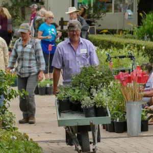 2019 Fall Plant Sale Preview Party