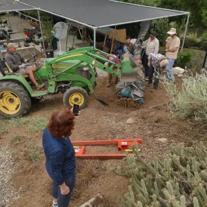 Moving a Lophocereus schottii cactus collected in 1996 from the canyard to the Island View Garden
