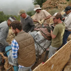 Moving a Lophocereus schottii cactus collected in 1996 from the canyard to the Island View Garden