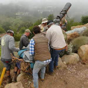 Moving a Lophocereus schottii cactus collected in 1996 from the canyard to the Island View Garden