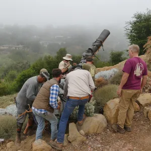 Moving a Lophocereus schottii cactus collected in 1996 from the canyard to the Island View Garden