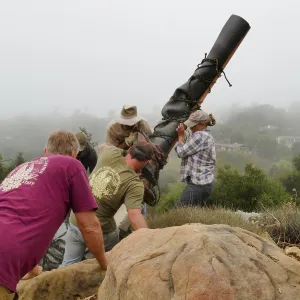 Moving a Lophocereus schottii cactus collected in 1996 from the canyard to the Island View Garden