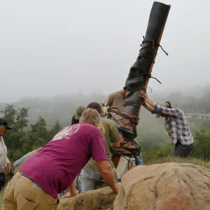 Moving a Lophocereus schottii cactus collected in 1996 from the canyard to the Island View Garden