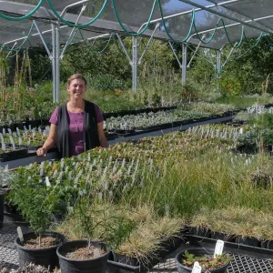 Plant Propagation Manager Heather Wehnau
