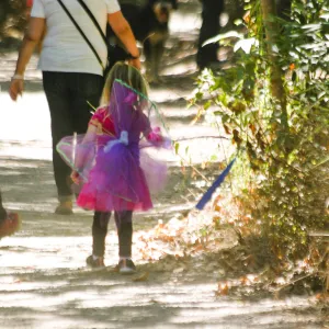 Fairy Homes & Nature Crafts Workshop