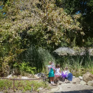 Fairy Homes & Nature Crafts Workshop