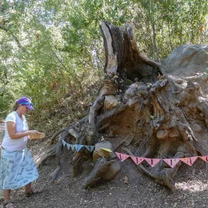 Fairy Homes & Nature Crafts Workshop, Fairy Village Display