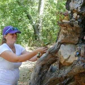 Fairy Homes & Nature Crafts Workshop, Fairy Village Display