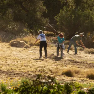 Wednesday volunteer crew working in the Meadow