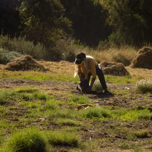 Wednesday volunteer crew working in the Meadow