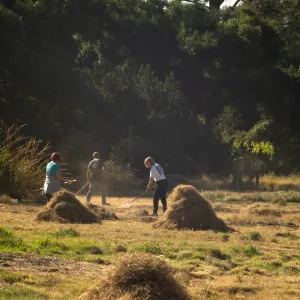 Wednesday volunteer crew working in the Meadow