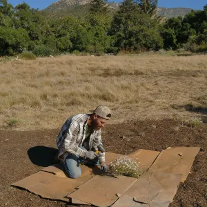 Dan Hite demonstrating sheet mulching