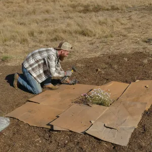 Dan Hite demonstrating sheet mulching