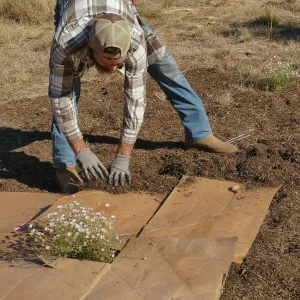 Dan Hite demonstrating sheet mulching
