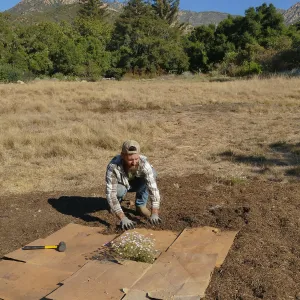 Dan Hite demonstrating sheet mulching